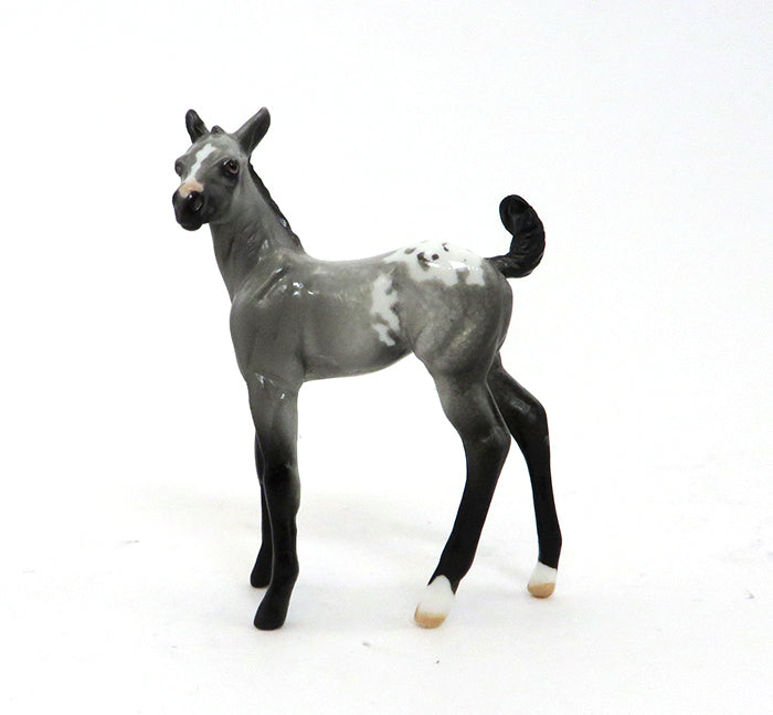 REAL STEEL-GREY APPALOOSA BLANKET FOAL 9/30