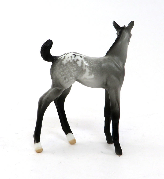 REAL STEEL-GREY APPALOOSA BLANKET FOAL 9/30