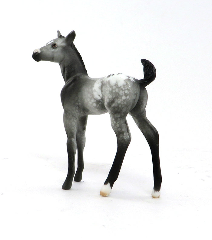REAL STEEL-GREY APPALOOSA BLANKET FOAL 9/30