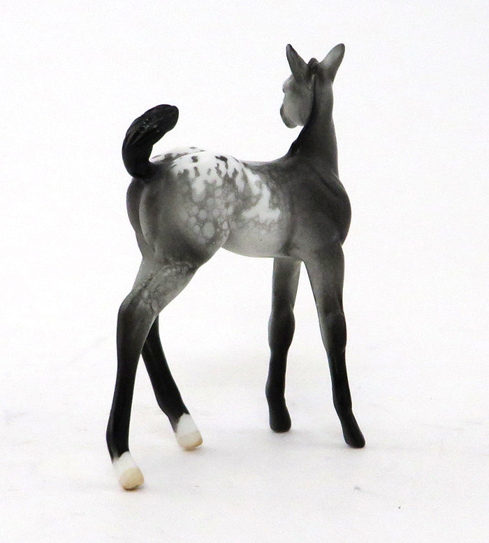 REAL STEEL-GREY APPALOOSA BLANKET FOAL 9/30