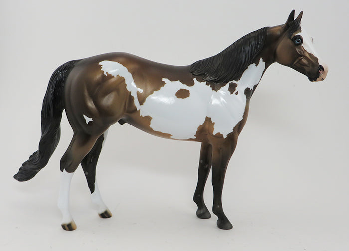 GOLDEN RULE-OOAK- BROWN BAY PAINT/ISH-BLUE EYES-10/1