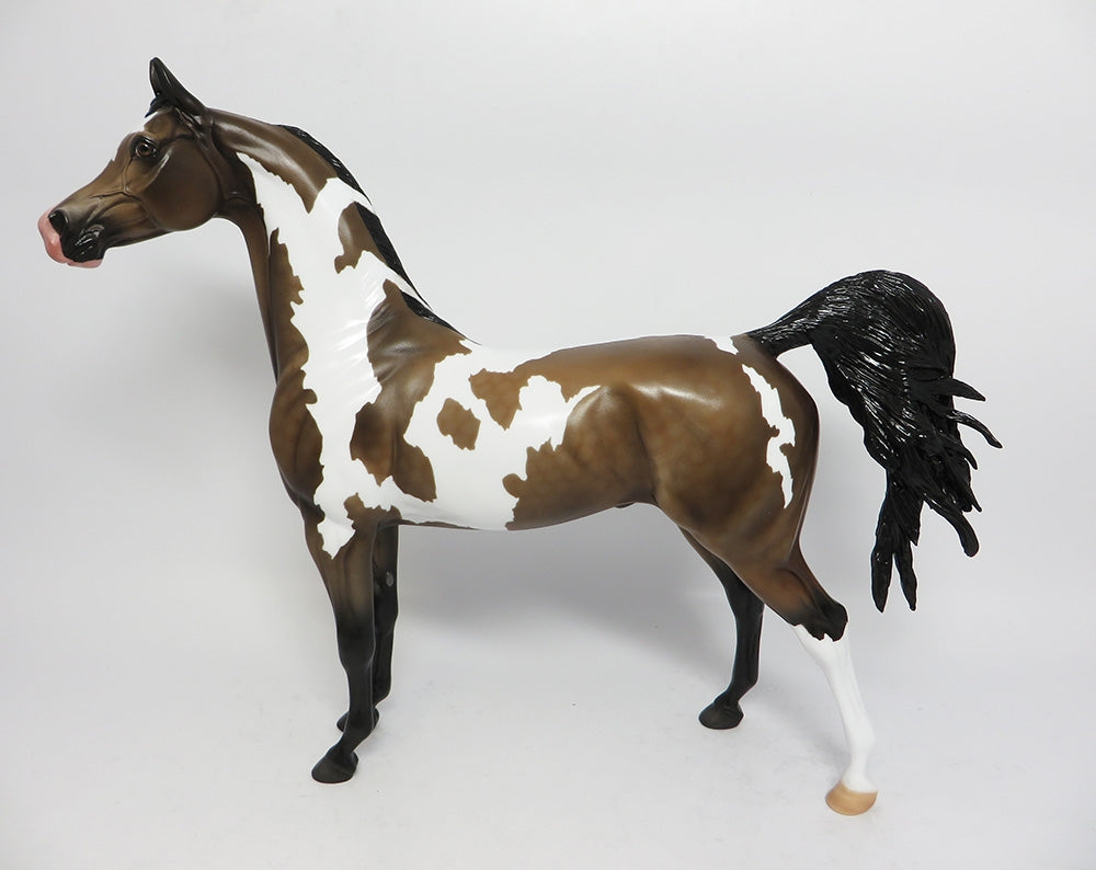 JET FIRE-LE-3 CUSTOM DAPPLE SOOTY BUCKSKIN PINTO ARABIAN WHS 2017