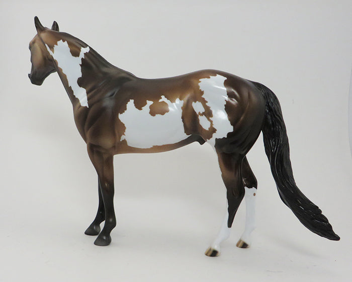 GOLDEN RULE-OOAK- BROWN BAY PAINT/ISH-BLUE EYES-10/1