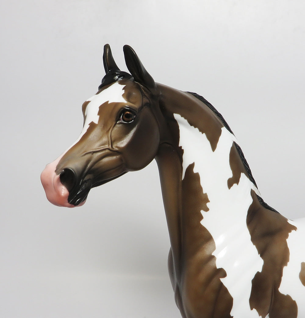 JET FIRE-LE-3 CUSTOM DAPPLE SOOTY BUCKSKIN PINTO ARABIAN WHS 2017