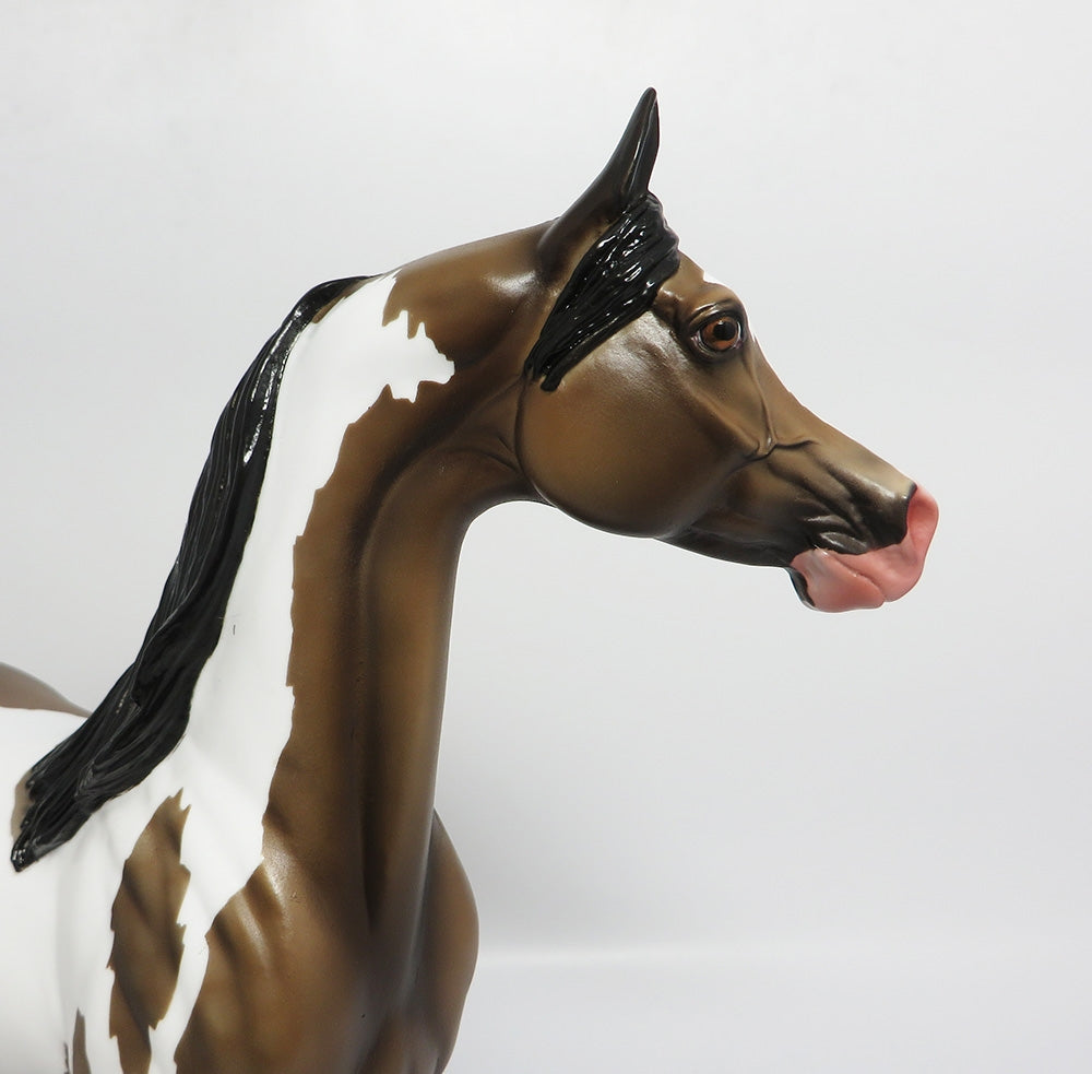 JET FIRE-LE-3 CUSTOM DAPPLE SOOTY BUCKSKIN PINTO ARABIAN WHS 2017