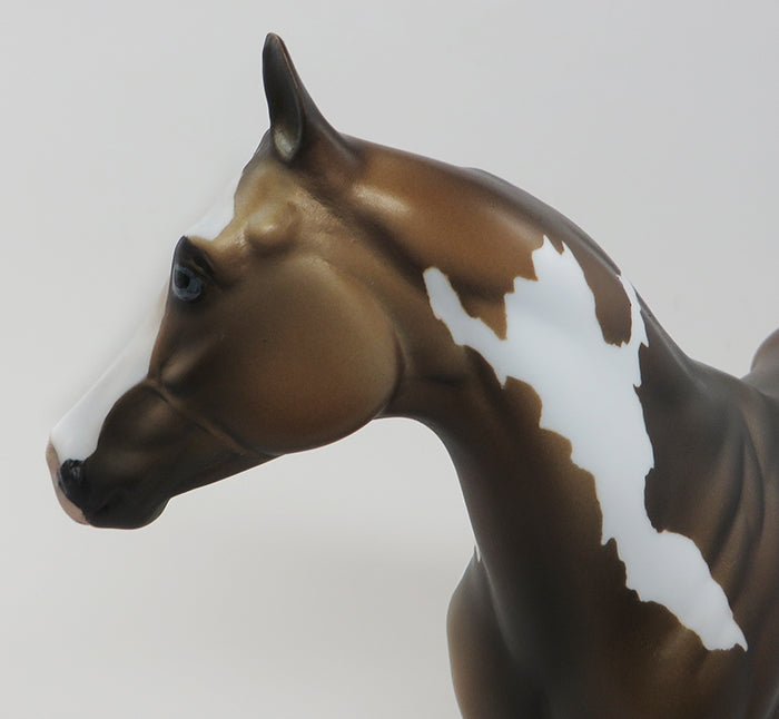 GOLDEN RULE-OOAK- BROWN BAY PAINT/ISH-BLUE EYES-10/1