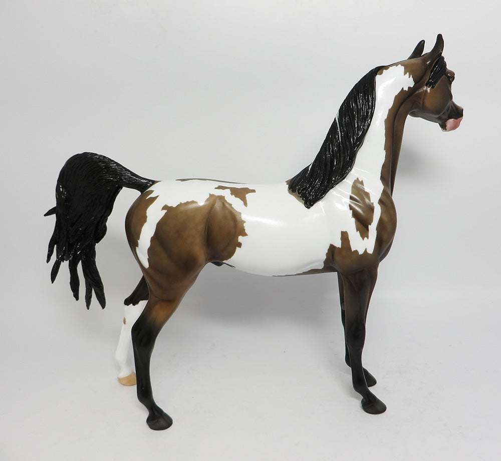 JET FIRE-LE-3 CUSTOM DAPPLE SOOTY BUCKSKIN PINTO ARABIAN WHS 2017