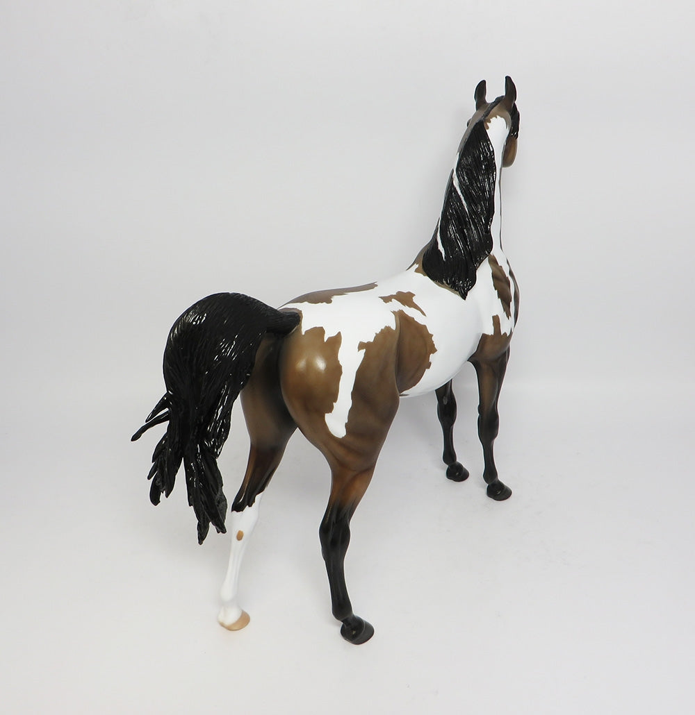 JET FIRE-LE-3 CUSTOM DAPPLE SOOTY BUCKSKIN PINTO ARABIAN WHS 2017