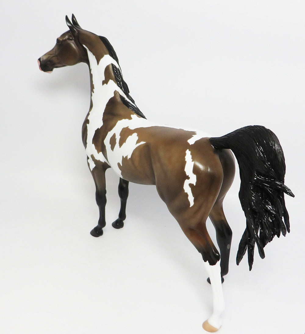 JET FIRE-LE-3 CUSTOM DAPPLE SOOTY BUCKSKIN PINTO ARABIAN WHS 2017