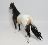DONELLY~OOAK BUCKSKIN APPALOOSA SPANISH MUSTANG MODEL HORSE 5/19/17