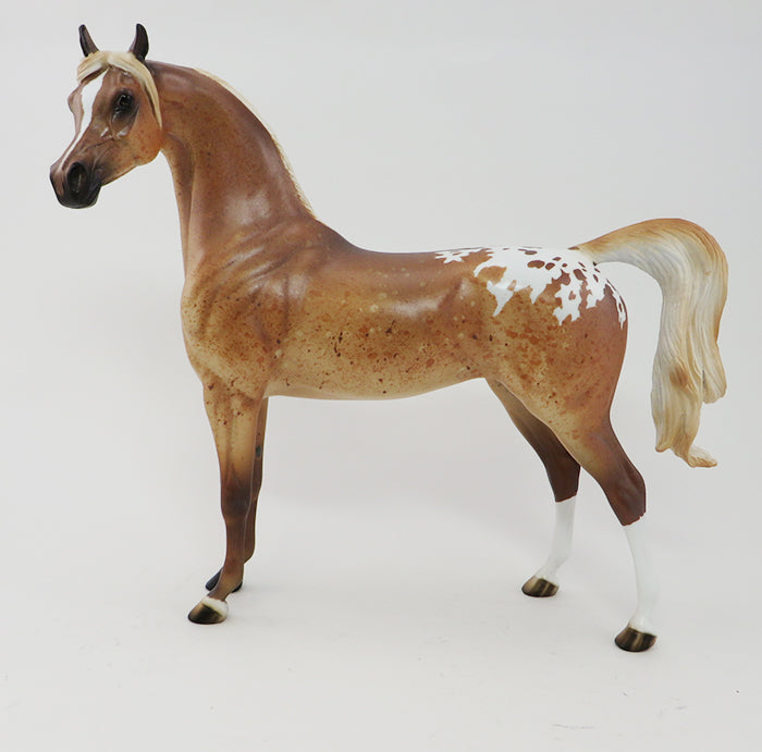 PASHA- LIGHT CHESTNUT APPALOOSA-ARABIAN-OOAK 9/30