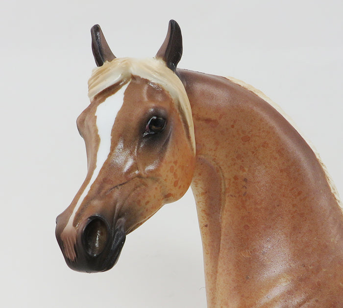 PASHA- LIGHT CHESTNUT APPALOOSA-ARABIAN-OOAK 9/30