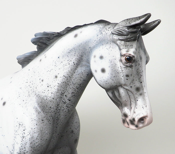 THREE DAYS GRACE - OOAK VARNISH ROAN APPALOOSA PALOUSE MODEL HORSE - 1/18