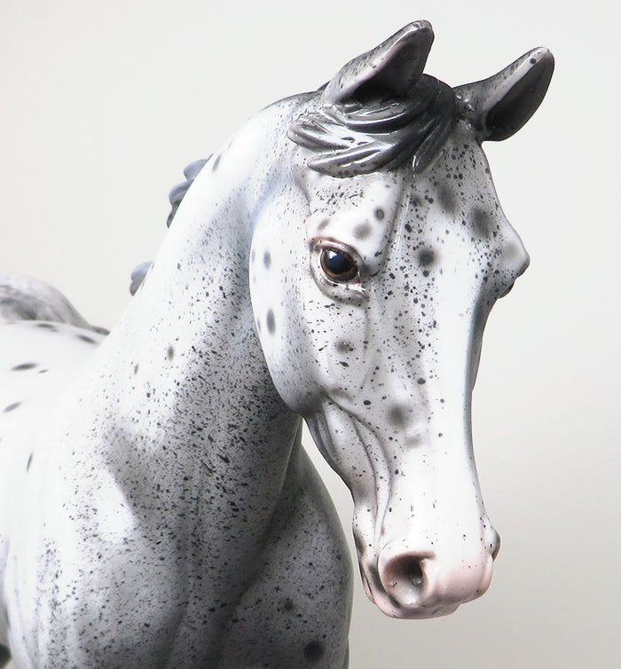 THREE DAYS GRACE - OOAK VARNISH ROAN APPALOOSA PALOUSE MODEL HORSE - 1/18