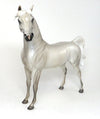 OOAK Arabian