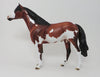 CINCH - OOAK SPANISH MUSTANG APPALOOSA - 10/7