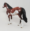 CINCH - OOAK SPANISH MUSTANG APPALOOSA - 10/7