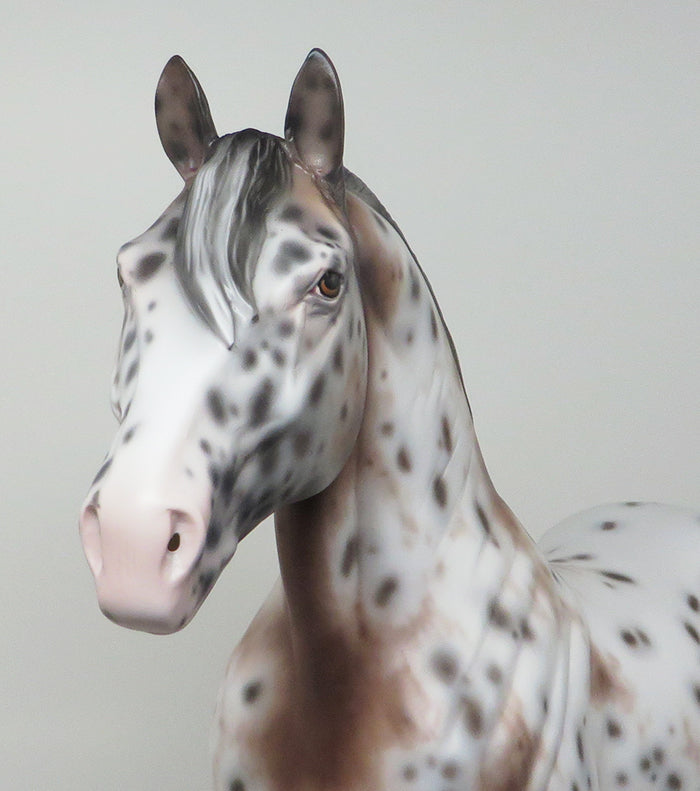 KID ROCK - OOAK BAY APPALOOSA STANDING DRAFTER MODEL HORSE by SHERYL LEISURE - 1/27