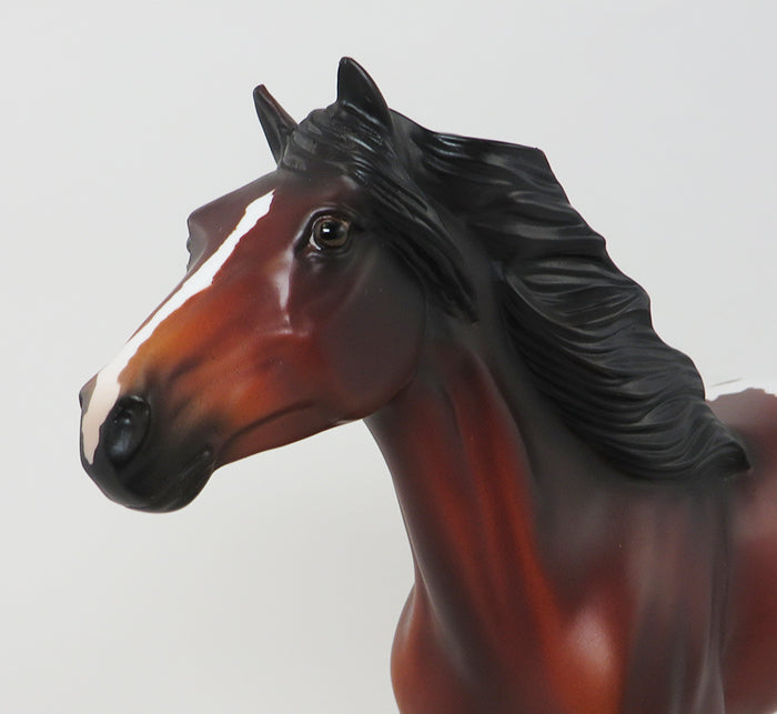 BAY APPALOOSA MUSTANG