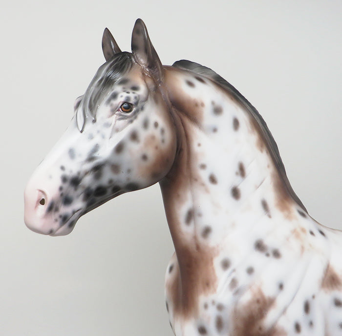 KID ROCK - OOAK BAY APPALOOSA STANDING DRAFTER MODEL HORSE by SHERYL LEISURE - 1/27