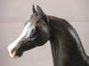 Custom Arabian Horse Sculpture