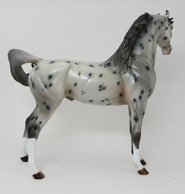 DONATELLO - OOAK APPALOOSA ARABIAN - 10/2