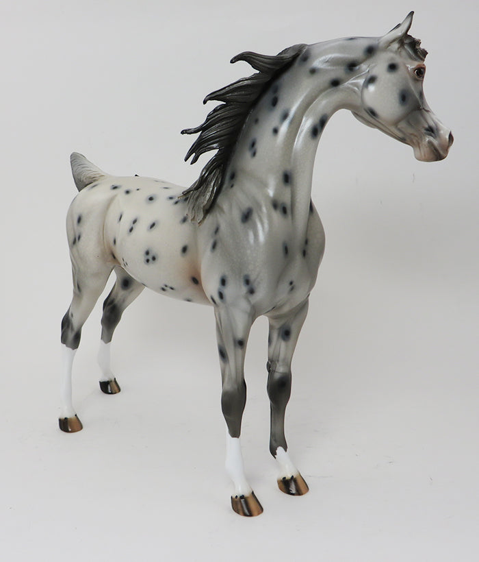 DONATELLO - OOAK APPALOOSA ARABIAN - 10/2