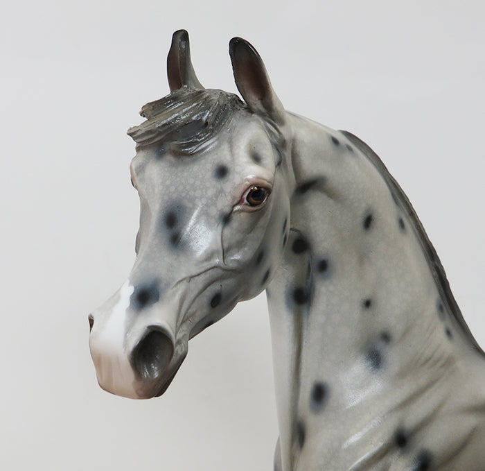 DONATELLO - OOAK APPALOOSA ARABIAN - 10/2