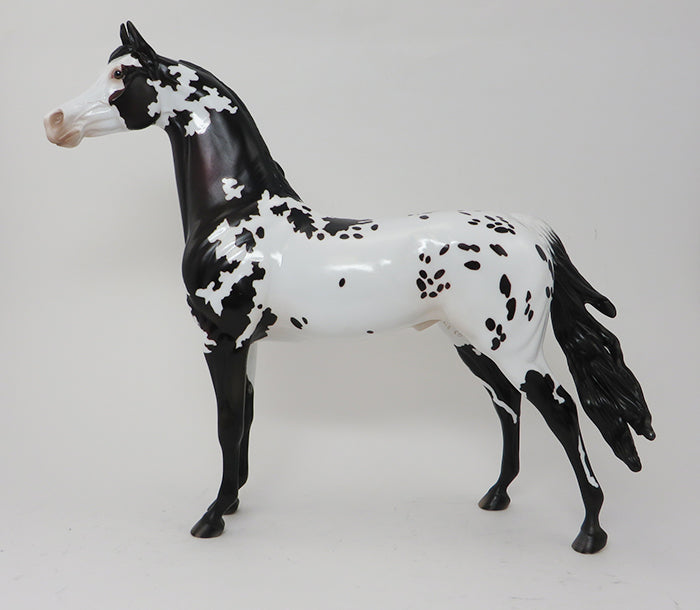 PROMETHEUS - OOAK APPALOOSA ARABIAN - 10/2