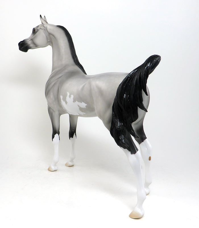 OOAK DAPPLE GREY PINTO