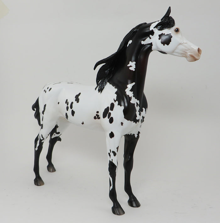 PROMETHEUS - OOAK APPALOOSA ARABIAN - 10/2