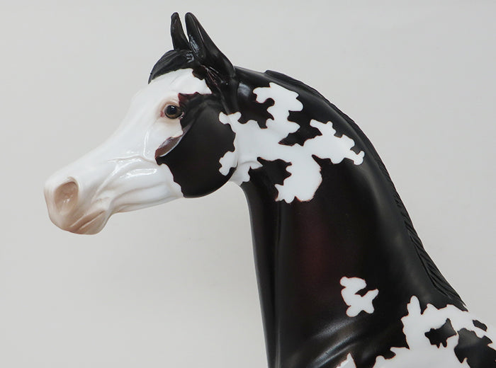 PROMETHEUS - OOAK APPALOOSA ARABIAN - 10/2