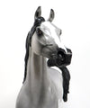  DAPPLE GREY ARABIAN