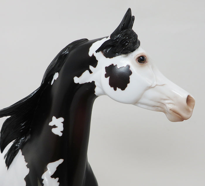 PROMETHEUS - OOAK APPALOOSA ARABIAN - 10/2