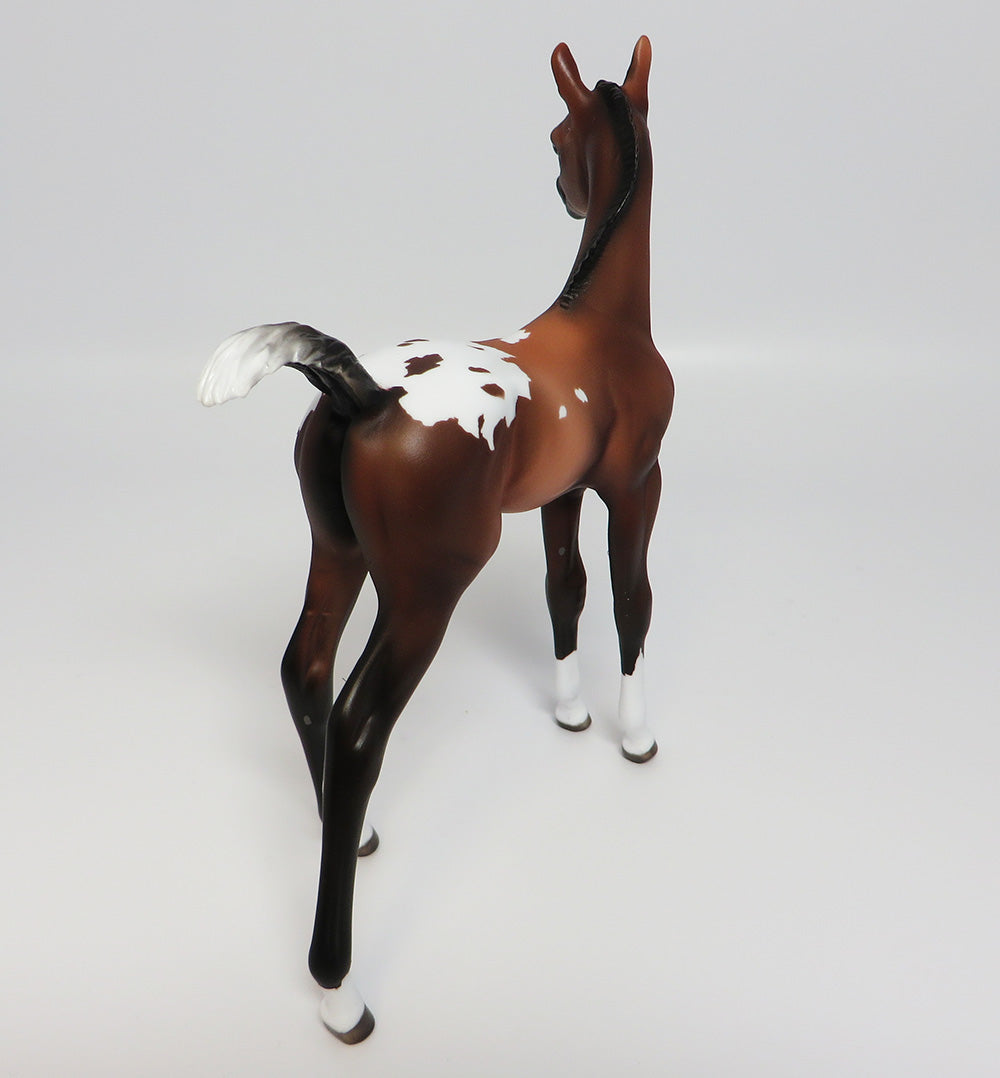 KIZZY-OOAK BAY APPALOOSA FOAL MODEL HORSE 05/24/17