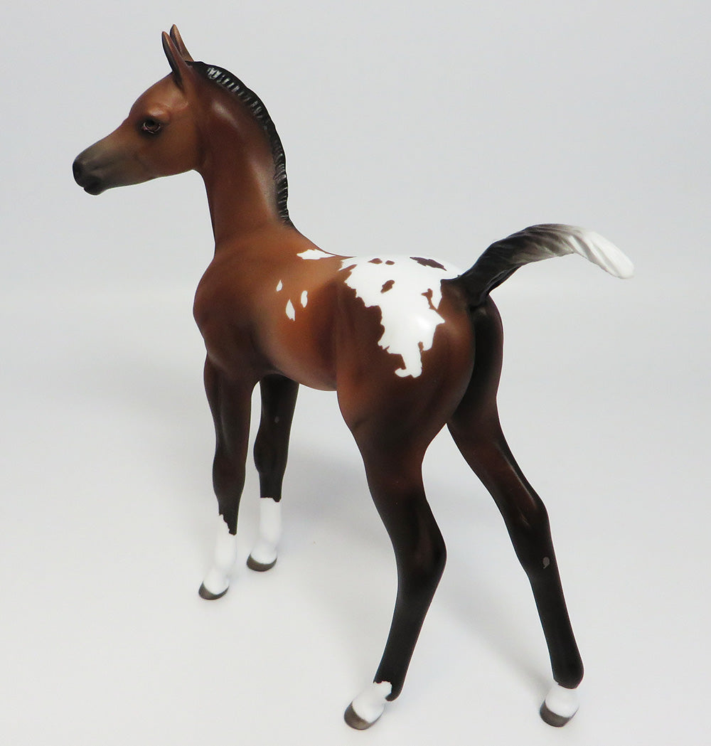 KIZZY-OOAK BAY APPALOOSA FOAL MODEL HORSE 05/24/17