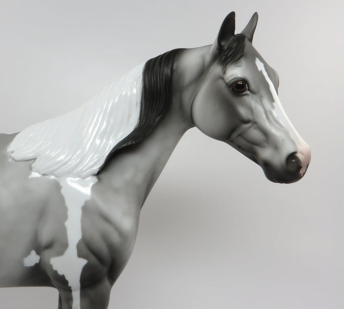 SHAMELESS-OOAK DAPPLE GREY ISH PAINT MODEL HORSE 7/15