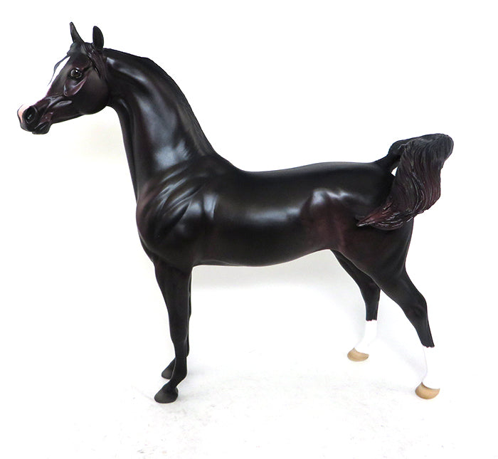 LIVER CHESTNUT ARABIAN 