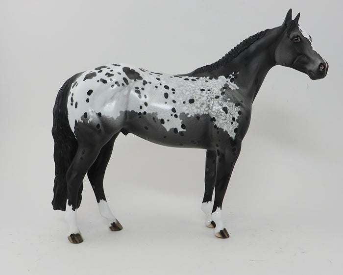 SPOTS BEFORE MY EYES-BLACK APPALOOSA-ISH-OOAK 10/1