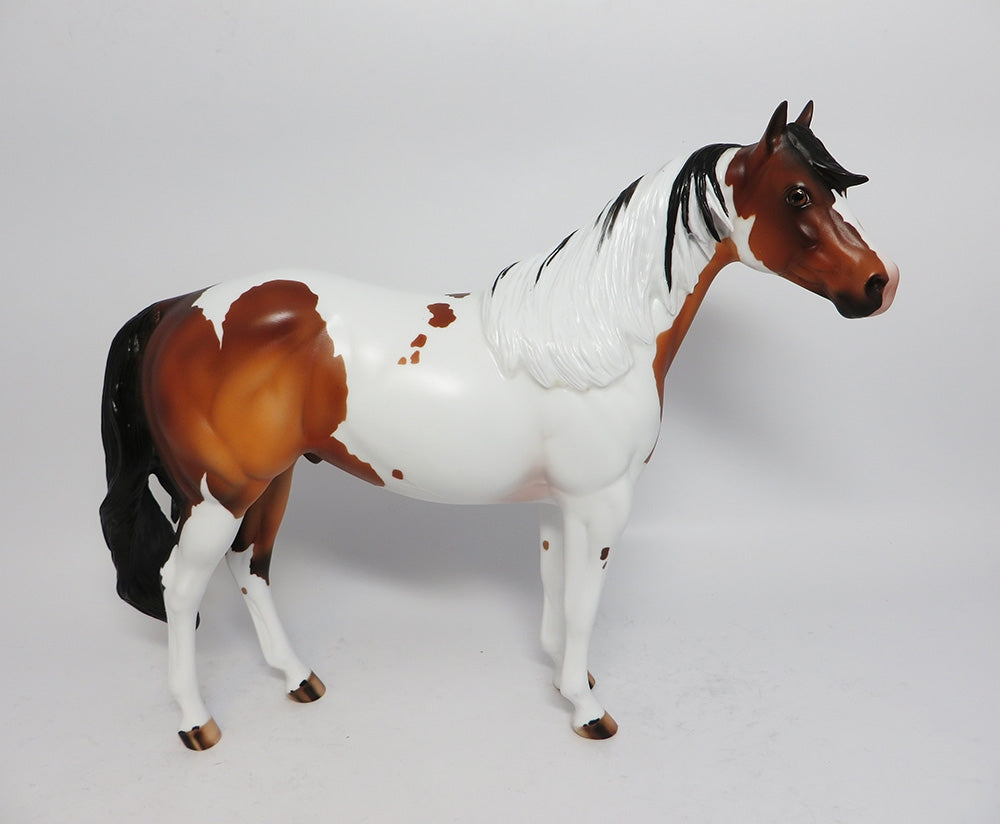NIGHT WIND-OOAK CUSTOM BAY PINTO ISH MODEL HORSE WHS 2017