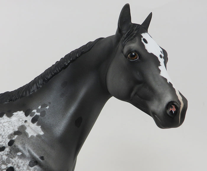 SPOTS BEFORE MY EYES-BLACK APPALOOSA-ISH-OOAK 10/1