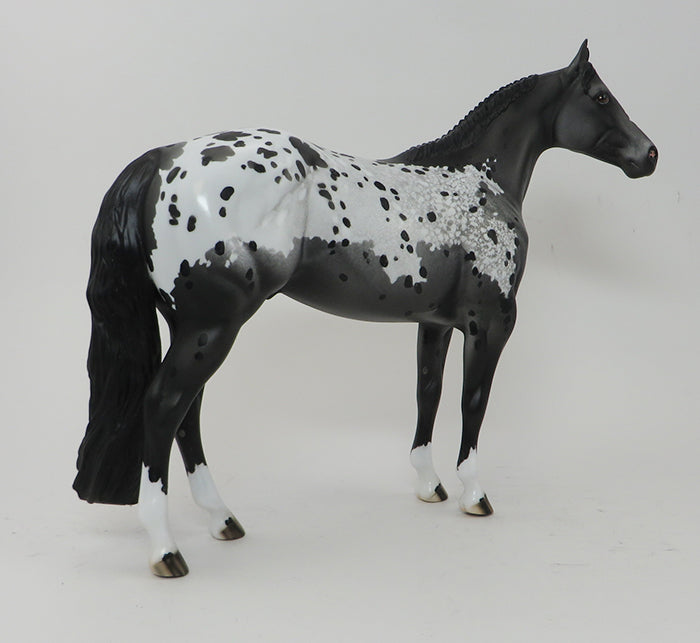 SPOTS BEFORE MY EYES-BLACK APPALOOSA-ISH-OOAK 10/1