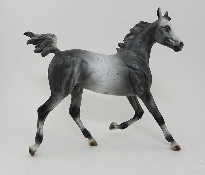 LAST DANCE- APPALOOSA- YEARLING-10/2