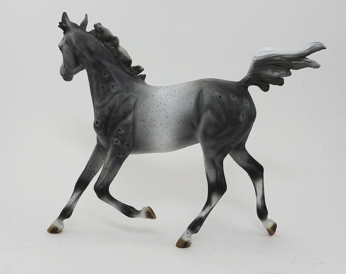 LAST DANCE- APPALOOSA- YEARLING-10/2