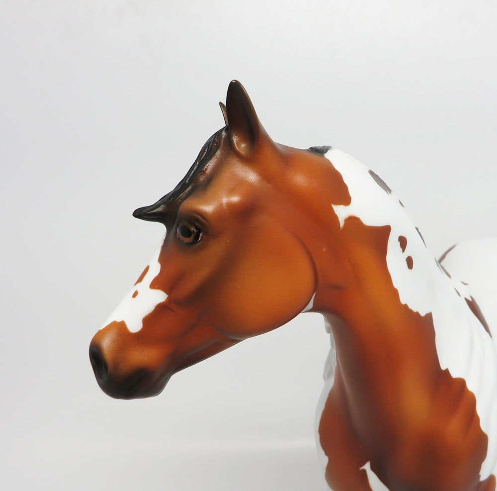 NIGHT WIND-OOAK CUSTOM BAY PINTO ISH MODEL HORSE WHS 2017