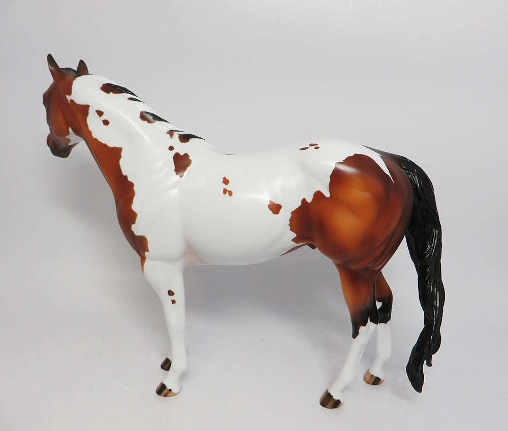 NIGHT WIND-OOAK CUSTOM BAY PINTO ISH MODEL HORSE WHS 2017