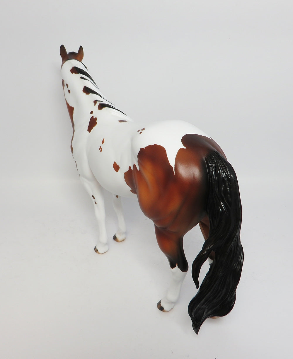NIGHT WIND-OOAK CUSTOM BAY PINTO ISH MODEL HORSE WHS 2017