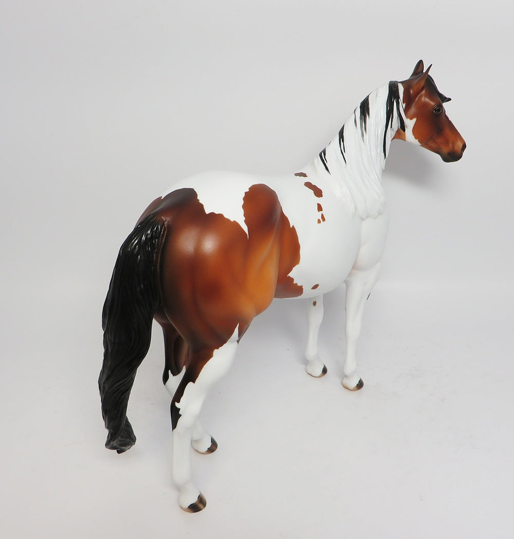 NIGHT WIND-OOAK CUSTOM BAY PINTO ISH MODEL HORSE WHS 2017