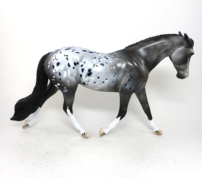 Custom Appaloosa