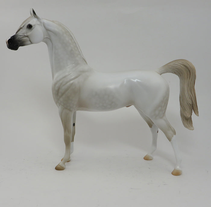 BEYONDER-WHITE- ARABIAN-OOAK 10/2